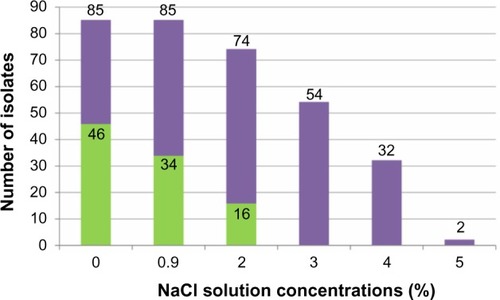 Figure 1 Rate of motile Pseudomonas aeruginosa isolates according to NaCl concentration.