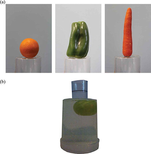 Figure 7. (a) Sample images prior to background-foreground separation of approximately convex fruit and vegetables. Left - orange, center - capsicum, right - carrot. (b) The purpose-built pycnometer used to determine volumes of irregularly shaped objects. An apple is visible in the device.