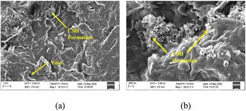 Figure 12. FESEM images of treated soil at a magnification of (a) 18.19 kx and (b) 55.91 kx.