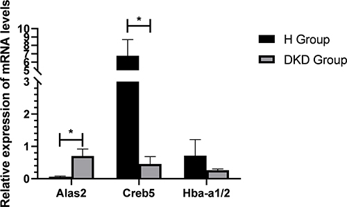 Figure 7 Expression of three genes in the DKD model group and the high-dose TCM group based on qRT-PCR. *p < 0.05.