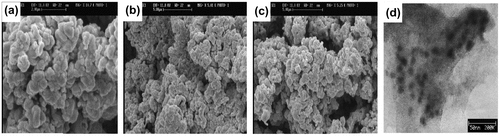 Figure 3. SEM images of PEDOT/Ag nanocomposite in two magnifications (a, b) and pure PEDOT (c); TEM image of the resulting PEDOT/Ag nanocomposite (d).