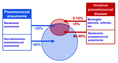 Figure 1. Diagrammatic representation of the overlap between pneumococcal pneumonia and invasive pneumococcal disease.