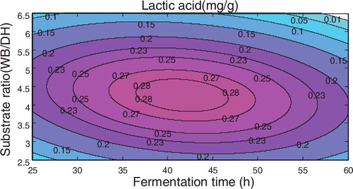 Figure 3. Response surface plot of the lactic acid concentration with respect to fermentation time and substrate ratio using the inoculum size as a centre point.