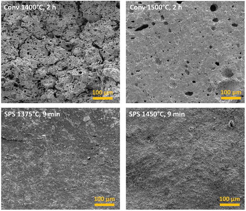 Figure 3. Low-magnification SEM micrographs of fracture surfaces of sintered samples.