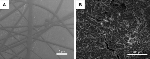 Figure 2 Morphologies of the NOCA fiber prepared by the gas-assisted electrospinning apparatus.Notes: SEM images of (A) NOCA nanofibers and (B) surface morphology of in situ electrospun NOCA fiber coating on the goat dural.Abbreviations: NOCA, N-octyl-2-cyanoacrylate; SEM, scanning electron microscopy.