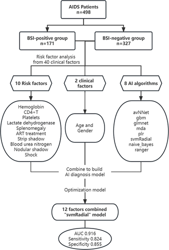 Figure 1 Flowchart of the diagnosis model of HIV-infected people with BSI.