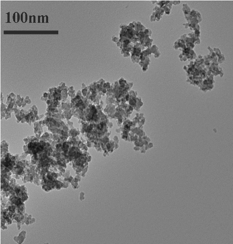 Figure 2. Transmission electron micrograph of silicon dioxide nanoparticles. Scale bar is 100 nm.