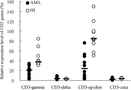 Figure 1. The relative expression of CD3 genes in CD3+ T cells from AML and healthy (HI) groups.