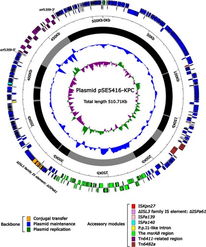 Figure 3. Schematic diagram of the plasmid pSE5416-KPC. Genes of different functions are denoted by arrows and presented in various colours. The circles show (from outside to inside): predicted coding sequences, scale, backbone (black) and accessory module (gray) regions, GC content and GC skew [(G−C)/(G + C)].