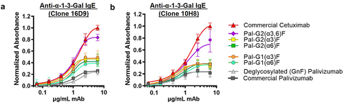 Figure 5. Homogeneous bi-α-galactosylated glycoforms in the Fc region binds to different commercially available anti-α1,3-Gal IgE antibodies by ELISA. Binding to (a) clone 16D9 and (b) clone 10H8 anti-α1,3-Gal IgE antibodies. Bi-α-galactosylated glycans (purple diamond data points) bind relatively higher than mono-α-galactosylated Fc glycans. Commercially available cetuximab containing 27–34% Fab bi-α-galactosylated glycans are shown as a comparison. Commercially available palivizumab (Synagis) and deglycosylated palivizumab are shown as negative controls (gray data points). Error bars represent mean ± standard deviation from three separate experiments.