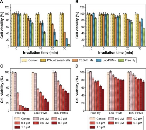 Figure 7 The influence of irradiation time on the phototoxicities of free Hy, Lac-PHMs, and TEG-PHMs to (A) HepG2 cells and (B) MCF-7 cells; the concentration of entrapped Hy was fixed at 1.0 μM; the PS-untreated cells were employed to study the influence of light stimulation on the cells; the influence of Hy concentration on the phototoxicities of free Hy, Lac-PHMs, and TEG-PHMs to (C) HepG2 cells and (D) MCF-7 cells, and the irradiation time was fixed at 30 minutes.Notes: In the experiments, the cells were incubated with free Hy and the NPs for 4 hours at 37°C, respectively, then washed with PBS. After irradiation, the cells were further cultured for 24 hours at 37°C before cytotoxicity determination through MTT assay. Data are presented as the average ± SD (n=5). The cells without any treatment and irradiation were used as control.Abbreviations: Hy, hypericin; PHMs, hypericin-entrapped polydopamine–MNP composite nanoparticles; Lac-PHMs, lactose-modified PHMs; TEG-PHMs, triethylene glycol–modified PHMs.