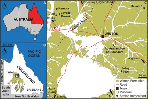 FIGURE 1. Map of Queensland, Australia showing the location of Winton, with an inset of the locations of the various sheep stations (including Elderslie, from which AODF 663 was recovered) on which sauropod remains have been discovered, and the Dinosaur Stampede National Monument at Lark Quarry Conservation Park (modified from Poropat et al., Citation2021a).