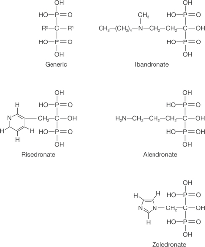 Figure 1 Generic chemical structure of a bisphosphonate and of ibandronate, risedronate, alendronate and zoledronate. In all cases R1 resembles a hydroxyl group while R2 is either an alkylamine (ibandronate and alendronate) or an acrylamine (risedronate and zoledronate). Copyright © 2004. Reproduced with permission from Springer Science and Business Media. Bauss F, Russell RG. 2004. Ibandronate in osteoporosis: preclinical data and rationale for intermittent dosing. Osteoporos Int, 15:423–33.