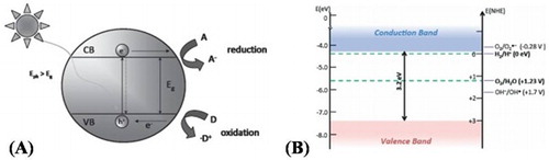 Figure 1. (A) Photogenerated charge carrier’s in semiconductors. Eph represent energy of the photon used. A means electron acceptor and D means electron donor. (B) Schematic illustration for the band gap structure showing the CB and VB positions of TiO2 and the redox potentials vs. NHE. Adapted from references ( Citation23) and ( Citation24) with permissions. Copyright 2015 and 2012, Royal Society of Chemistry.