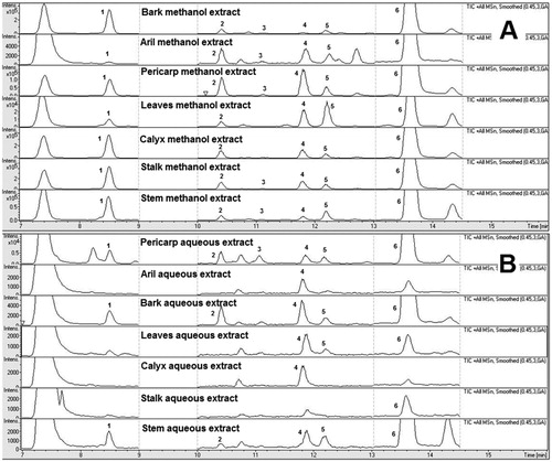 Figure 1. Representative total ion chromatogram of the methanol extracts (A) and aqueous extracts (B) of different parts of Garcinia mangostana. (1) Mangostanol ; (2) 3-Isomangostin ; (3) Garcinone C ; (4) γ-Mangostin ; (5) 8-Deoxygartanin ; (6) α-Mangostin.
