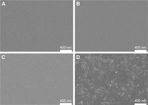 Figure 1 SEM morphology of various surfaces of samples V0 (A), V3 (B), V4 (C), and V5 (D).Abbreviations: SEM, scanning electron microscopy; V0, homogeneous vanadium metal nanoparticles deposited on quartz glass; V3, homogeneous V2O3 nanoparticles deposited on quartz glass; V4, homogeneous VO2 nanoparticles deposited on quartz glass; V5, homogeneous V2O5 nanoparticles deposited on quartz glass.