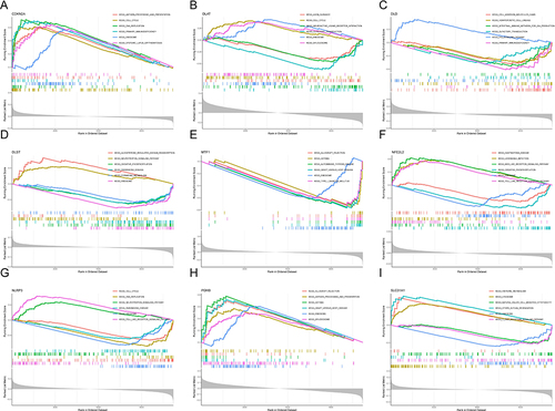 Figure 6 GSEA-KEGG single-gene analysis pathway in CDKN2A(A), DLAT(B), DLD(C), DLST(D), MTF1(E), NFE2L2(F), NLRP3(G), PDHB(H) and SLC31A1(I).