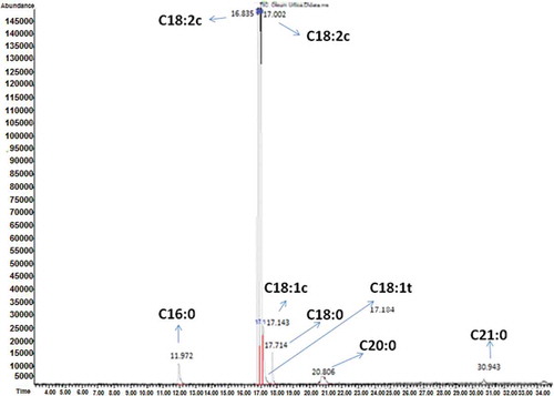 FIGURE 1 Representative chromatogram of stinging nettle oil shows the absence of linolenic acid (C18:3c).