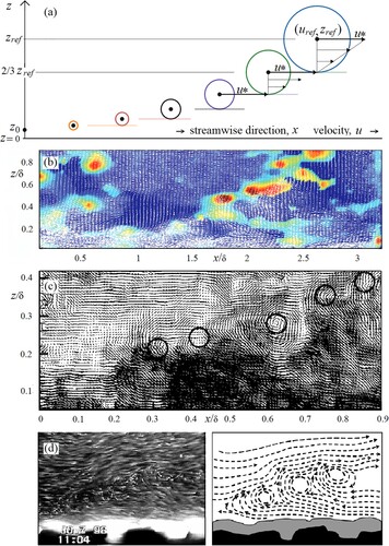 Figure 2 (a) Model results showing Eq. (3) or Eq. (7) with six stacked tiers of spanwise axis eddies rolling at u* relative to roll planes at 2/3rds of their diameter. Images b & c show vortices visualized in a rectangular tunnel (depth 2δ), by Camussi and Di Felice (Citation2006) for momentum thickness Reynolds numbers of 1015 and 17,500 respectively. In b large local intermittency is shown in red and small intermittency is shown in dark blue. In image c “circles evidence the heads of presumed hairpin vortices” in the instantaneous velocity field. Visualization d shows large-scale coherent vortices detected by Cuthbertson and Ervine (Citation2007) “these eddies commonly occurred in pairs or groups each with the same rotational sense, and typically occupied a region of 0.1–0.4 flow depth”. Mean flow directions are from left to right