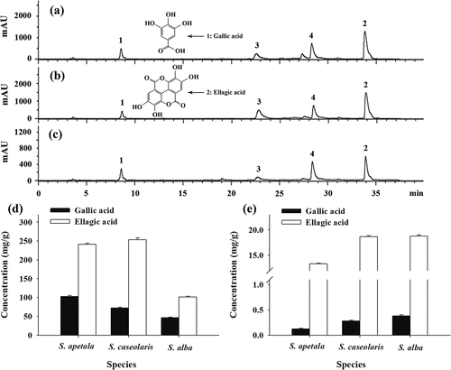 Figure 2. Reversed-phase HPLC chromatograms of ETRE from the leaves of three Sonneratia species after hydrolysis: S. apetala (a), S. caseolaris (b), and S. alba (c); Concentrations of total (d) and free (e) gallic acid and ellagic acid in hydrolyzed and unhydrolyzed ETRE from the leaves of three Sonneratia species. Peaks: 1, gallic acid; 2, ellagic acid; 3 and 4, unidentified compounds