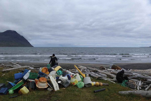 Figure 5. Beach cleaning, Finnafjörður, Iceland. Copyright: Þóra Pétursdóttir.