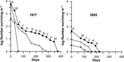 Fig. 5. Saccorhiza polyschides: survivorship curves for the main cohort of 1977 and the only cohort of 2005 growing at three low intertidal levels: 0.20 m above LAT (dark circles), 0.40 m above LAT (open circles) and 0.70 m above LAT (dark inverted triangles).