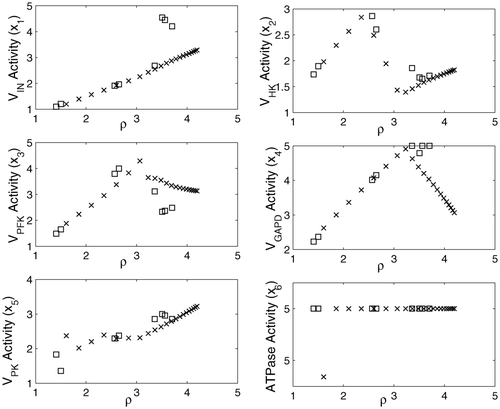 Figure 5. Variation in enzyme activities for the Pareto-optimal solutions: (×) NBI; (□) MIOM.