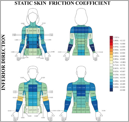 Figure 3. The females (n = 11) and males (n = 9) of inferior static skin COF distribution across the 36-testing location. All measurements were taken from the left-hand side of the body assuming asymmetry (Claus et al. Citation1987; Meh and Denišlič Citation1994).
