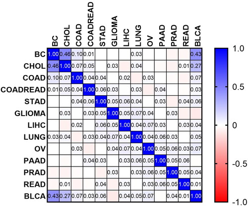 Figure 5. The correlation matrix between every pair of cancers.