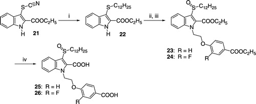 Scheme 3 (i) Dodecan-1-ol, triphenylphosphine, THF, − 20°C; (ii) NaH, ethyl-4-(2-bromoethoxy)benzoate, DMF, room temp.; (iii) Pb(IV)acetate, acetic acid, room temp.; (iv) EtOH, 10% aqueous KOH, reflux.