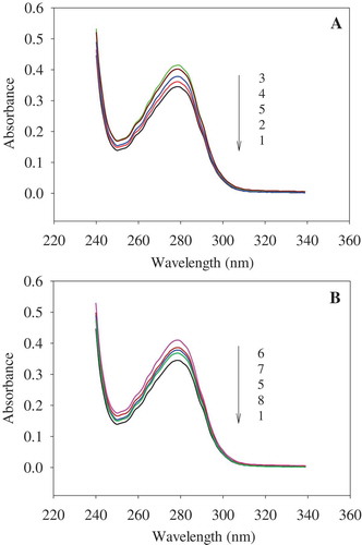 Figure 5. Effect of PEF treatment on UV absorption of OVA. A: PEF treatment time was 180 μs; B: PEF electric field intensity was 35 kV/cm. 1−5 represent OVA treated for 180 μs at 0, 20, 25, 30, and 35 kV/cm, respectively. 6−8 represent the OVA treated at 35 kV/cm for 60, 120, and 240 μs, respectively. The concentration of OVA samples was 0.4 mg/mL.