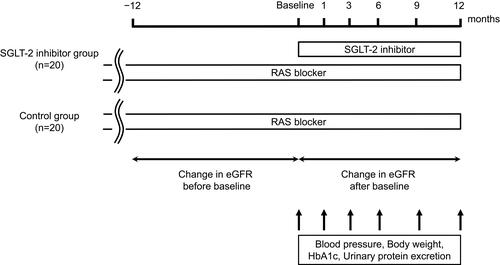 Figure 1 Study design diagram.Abbreviations: eGFR, estimated glomerular filtration rate; HbA1c, glycated hemoglobin; RAS, renin-angiotensin system; SGLT-2, sodium-glucose cotransporter-2.