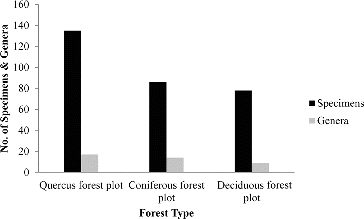 Figure 2. Total number of species and lichen genera found in three forest plots.