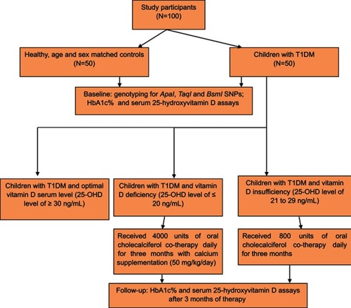 Figure 1 Flowchart of the study participants and methodology.