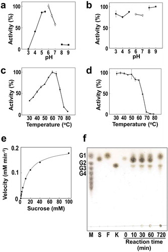 Figure 3. Enzymatic properties of full-length BiBftA. (a) Optimal pH was measured in 50 mM of sodium phosphate-citrate buffer (black circles), sodium phosphate buffer (white circles), and Tris-HCl buffer (black squares). (b) pH stability was determined by incubating BiBftA in 62.5 mM of sodium phosphate-citrate buffer (black circles), sodium phosphate buffer (white circles), and Tris-HCl buffer (black squares). (c) Optimal temperature. (d) Thermostability. In (a)–(d), error bars represent standard deviations. (e) BiBftA enzymatic activity with various sucrose concentrations. (f) TLC analysis of the BiBftA and sucrose reaction. Symbols: M, malto-oligosaccharide markers; G1, glucose; G2, maltose; G3, maltotriose; G4, maltotetraose; S, sucrose; F, fructose; K, 1-kestose