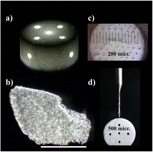 Figure 4. Optical microscopy images of sintered β-TCP-AE composites. (a) mould-casted monolitic sample with diagonally drilled through-channels of 500 µm diameter, (b) dark field image of a chip shattered from a monolit shows transparent silica aerogel matrix and opalescent granules of the embedded tricalcium phosphate plus the high-porosity regions. Scalebar is 1 mm, (c) mould-templated monolitic cylindrical sample with longitudinally arranged set of 200 µm diameter channels, (d) demonstration of the drilling process.