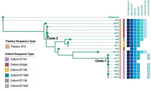 Figure 3 Phylogenetic tree of CRAB isolates in ICU-1. Samples with grey dots showed strains isolated from environment. Sequence type were showed as stripes. Blue binary data meant antibiotic resistance genes (including resistance genes against aminoglycoside, beta-lactams, macrolide, tetracycline, and genes of OXA-23, sul and Sull).