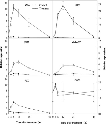 Figure 1 The expression of genes related to resveratrol and flavonoid biosynthesis to UV-C irradiation.