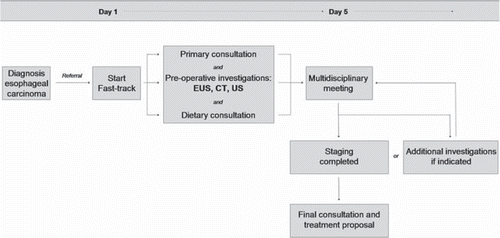 Figure 1. Fast track staging strategy of esophageal carcinoma.