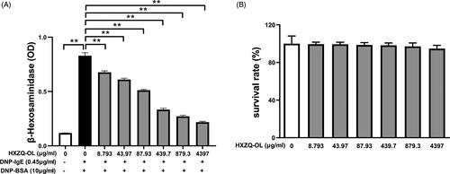 Figure 1. Effects of HXZQ-OL on degranulation (A) and cell viability (B) in IgE/Ag-mediated RBL-2H3 cells. The data were expressed as the mean ± SD values of five independent experiments. *p < 0.05 and **p < 0.01.