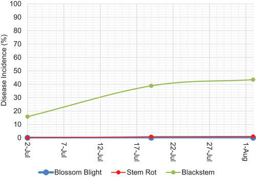 Fig. 1 Average incidence of alfalfa blossom blight, stem rot and black stem disease symptoms (n=5 fields) at three sampling dates in 2023.