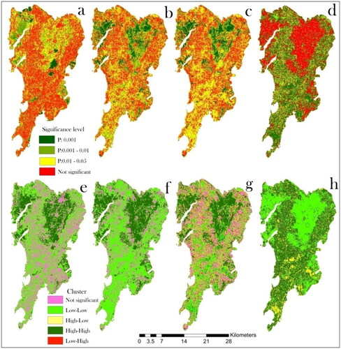 Figure 11. Significance analysis using bivariate local Moran’s I for (a) LULC-MNDWI, (b) LULC-NDVI, (c) LULC-SAVI, and (d) LULC-NDBI, and cluster-dispersion analysis for I LULC-MNDWI, (f) LULC-NDVI, (g) LULC-SAVI, and (h) LULC-NDBI for Landsat 8.