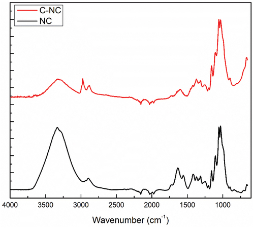 Figure 2. FTIR spectra of cellulose obtained from R. pseudoacacia pods (NC) and cellulose activated by acid hydrolysis with 6 M citric acid (C-NC).
