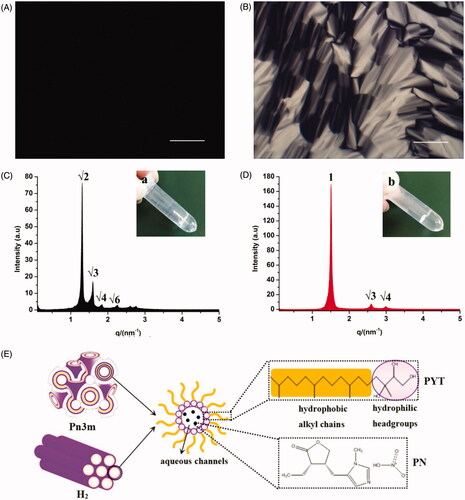 Figure 1. Images of FQ (A) and FH (B) formulations under CPLM (all images were taken at ×100 magnification and the scale bar is 100 μm). SAXS profiles of FQ (C) and FH (D) formulations at 25 ± 0.5 °C, appearance pictures of FQ (a) and FH (b) formulations at room temperature. (E) Schematic illustration of the inner structure of Pn3m-type Q2 and H2 phases containing PN molecules.