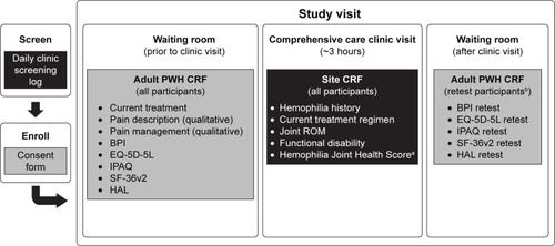 Figure 1 Pain, Functional Impairment and Quality of Life (P-FiQ) study design.
