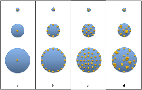 Figure 4. Conceptual illustration of various distribution patterns of virions inside aerosolized particles with respect to power law factor of (a) 1, (b) 2, (c) 3, and (d) >3 (cross-sectional view of the particles). Three particle sizes are presented (evolving from the smaller to larger), and the smallest spheres represent virions.