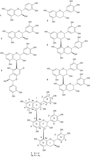 Figure 1.  Chemical structures of the isolated compounds from Ginkgo biloba leaves.