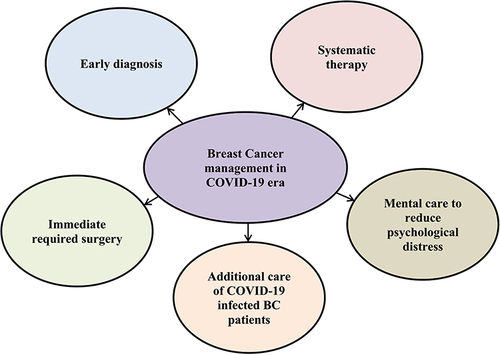 Figure 2 Strategies of Breast Cancer Management During The COVID-19 Pandemic.