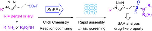 Figure 1. Lead discovery by SuFEx click chemistry, followed by direct screening against AChE and BuChE.