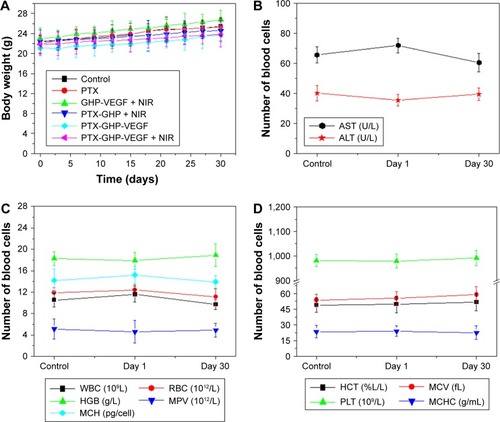 Figure 12 In vivo biocompatibility.Notes: (A) Body weight of 4T1 tumor bearing mice after various treatments. Blood biochemistry (B) and blood cells count (C, D) of mice at days 1 and 30 posttreatment with saline (control) and PTX-GHP-VEGF. (E) H&E-stained tissue sections of major organs, including the heart, liver, spleen, lung, and kidney from mice treated with saline (control) or PTX-GHP-VEGF at day 1 and day 30 (magnification: 100×).Abbreviations: PTX, paclitaxel; VEGF, vascular endothelial growth factor; NIR, near infrared; H&E, hematoxylin and eosin; WBC, white blood cells; RBC, red blood cells; HGB, hemoglobin; HCT, hematocrit; MCH, mean corpuscular hemoglobin; MCHC, mean corpuscular hemoglobin concentration; MCV, mean corpuscular volume; MPV, mean platelet volume; PLT, platelets; AST, aspartate transaminase; ALT, alanine transaminase; GHP, GO-HSA-PEG.